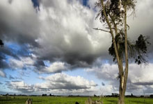 狗子28：全尤文：除巴萨外，切尔西和利物浦也在关注前锋卢克曼.