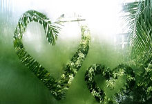 狗子28：格罗斯：多特无法在每三天一赛的情况下，保持在一个稳定的水平上.