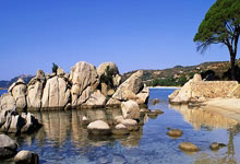 倒计时30天！亚冬会志愿者已就位 来看看证件制作现场央视新闻客户端.